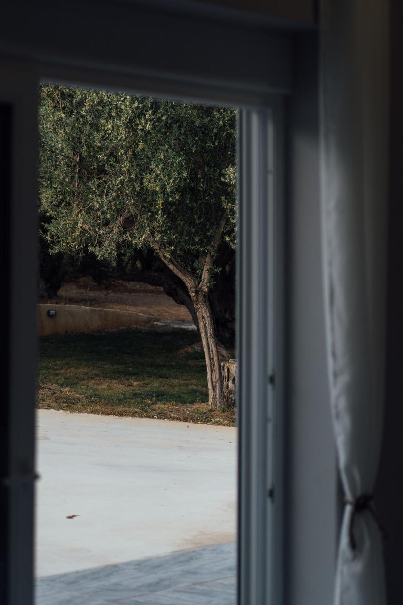 Blue Waves Luxury Suites By The Sea Plomari Exteriör bild