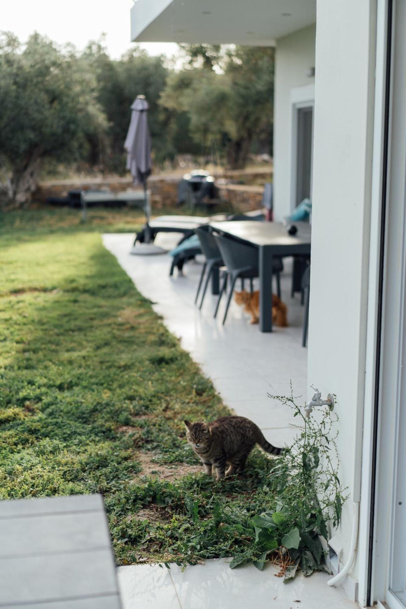 Blue Waves Luxury Suites By The Sea Plomari Exteriör bild